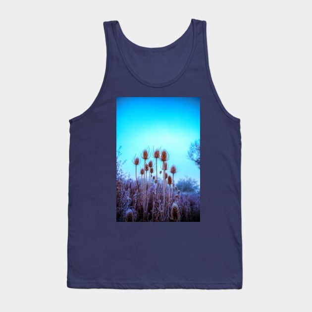 Teasel Heads In the Frost Tank Top by tommysphotos